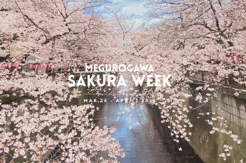 【目黒川 SAKURA WEEK】 桜を眺めながら、春のひとときを(3月20日〜4月12日)