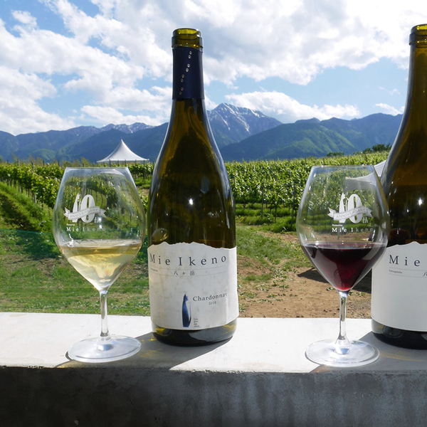 Mie Ikeno Pinot Noir 2016 ドメーヌ ミエ イケノ Mie Ikeno Pinot Mie Ikeno Pinot Noir 2016 ドメーヌ ミエ イケノ Mie Ikeno Pinot